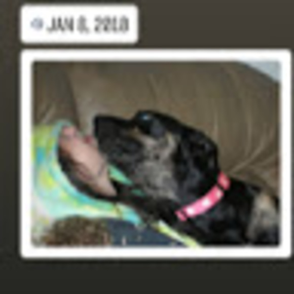 Meet your Posher, Scott - Picture 1 of 1